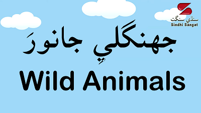 Wild Animals in Sindhi