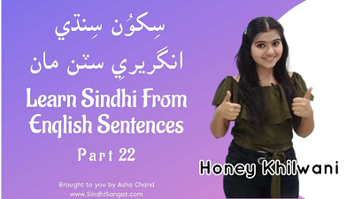 Learn Sindhi from English Sentences Part 22
